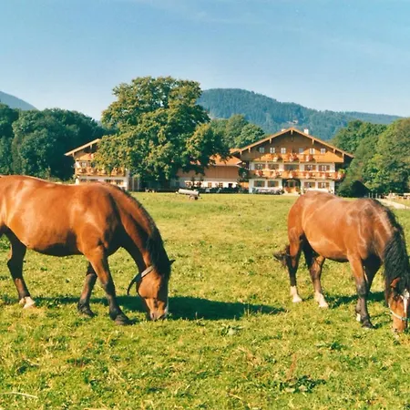 Apartmán Braun Hof